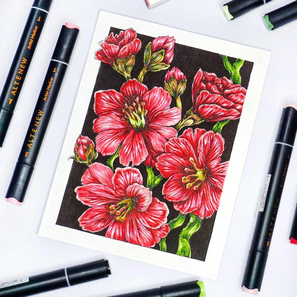 Alcohol Markers Artist Markers Red Cosmos Set