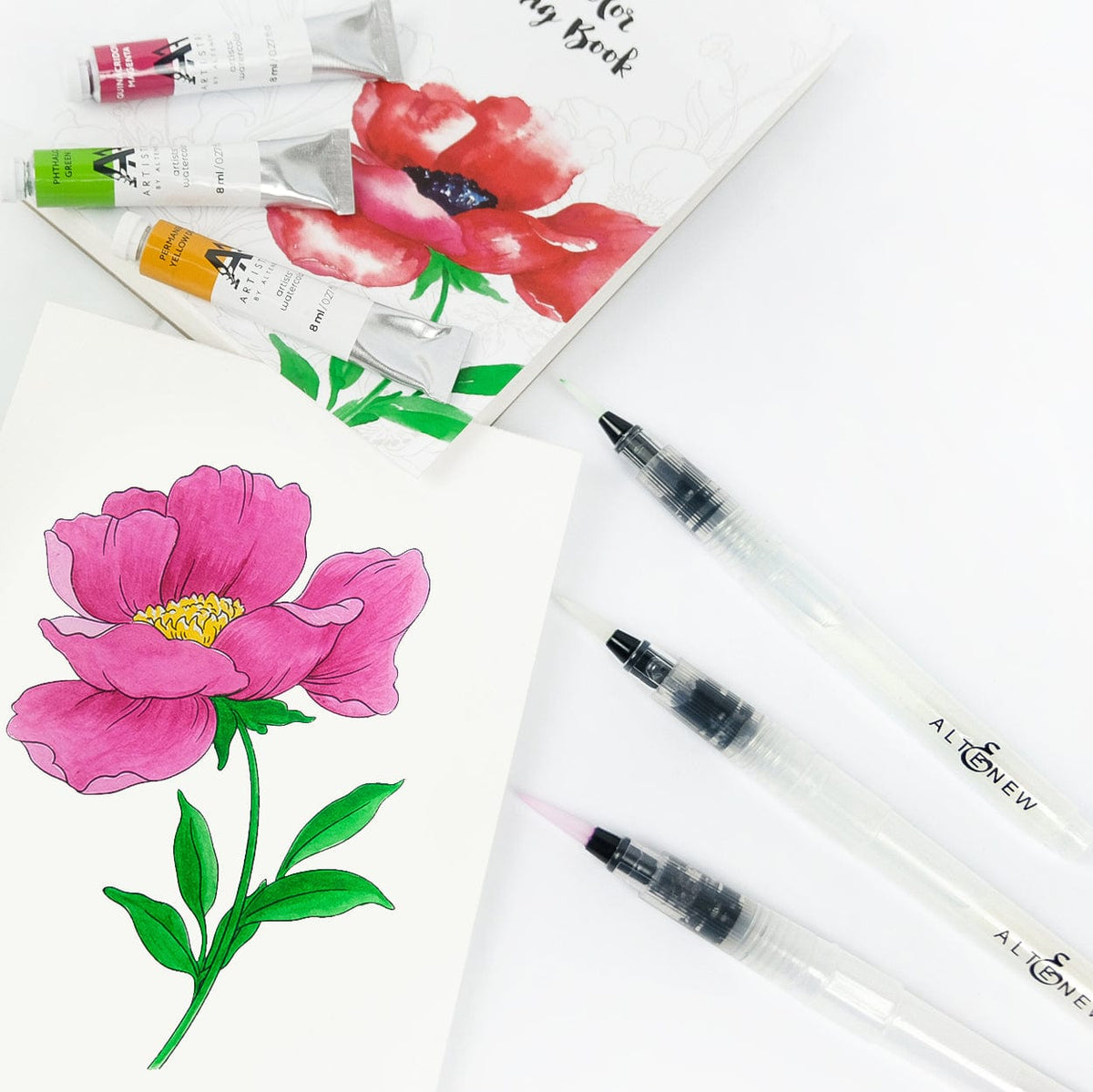 Brushes Watercolor Brush Fine