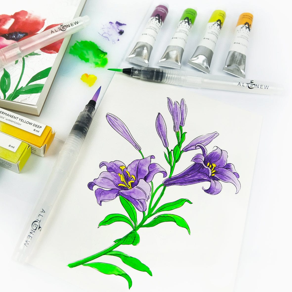 Brushes Watercolor Brush Large