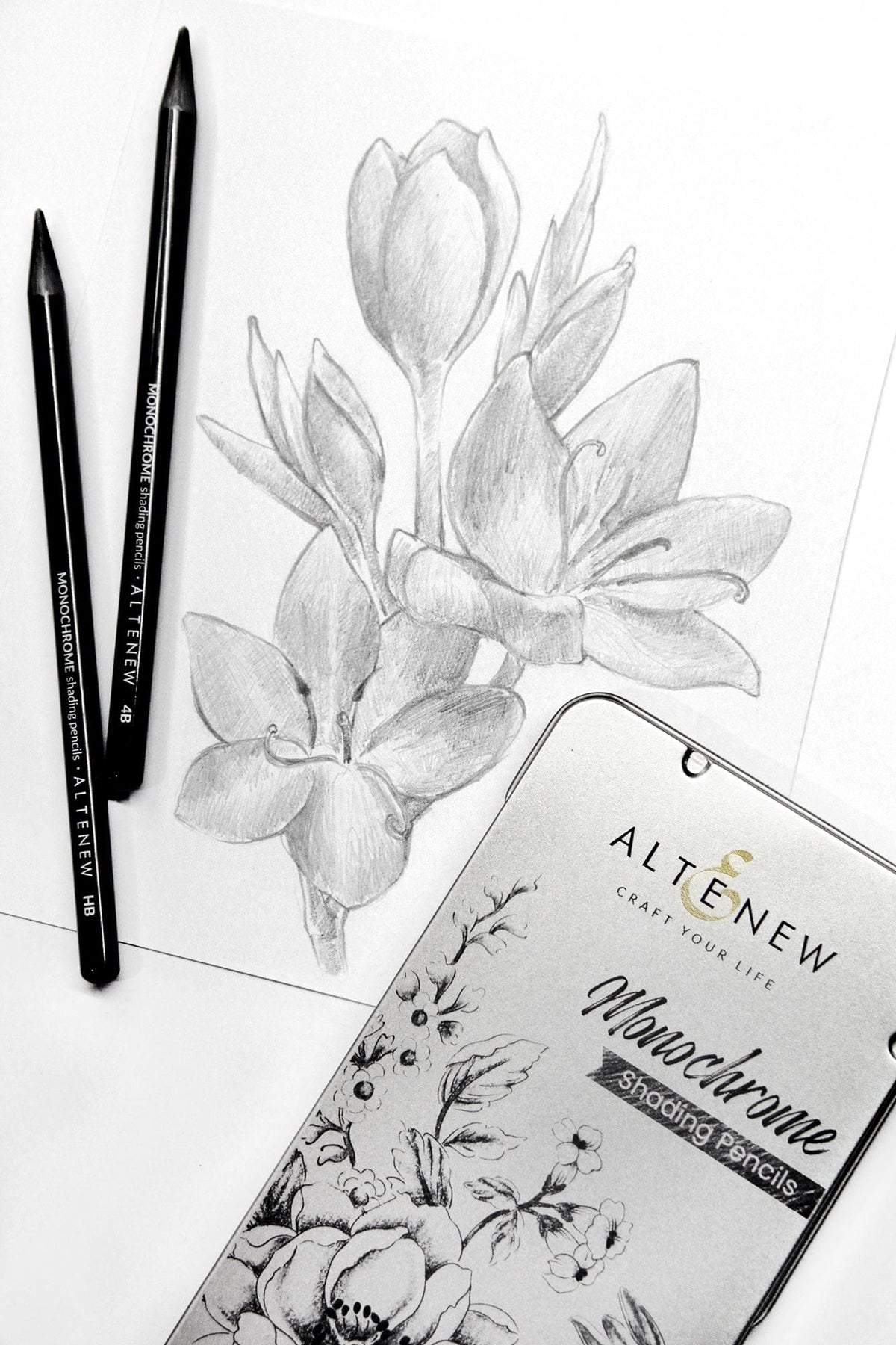 Pencils Monochrome Shading Pencils