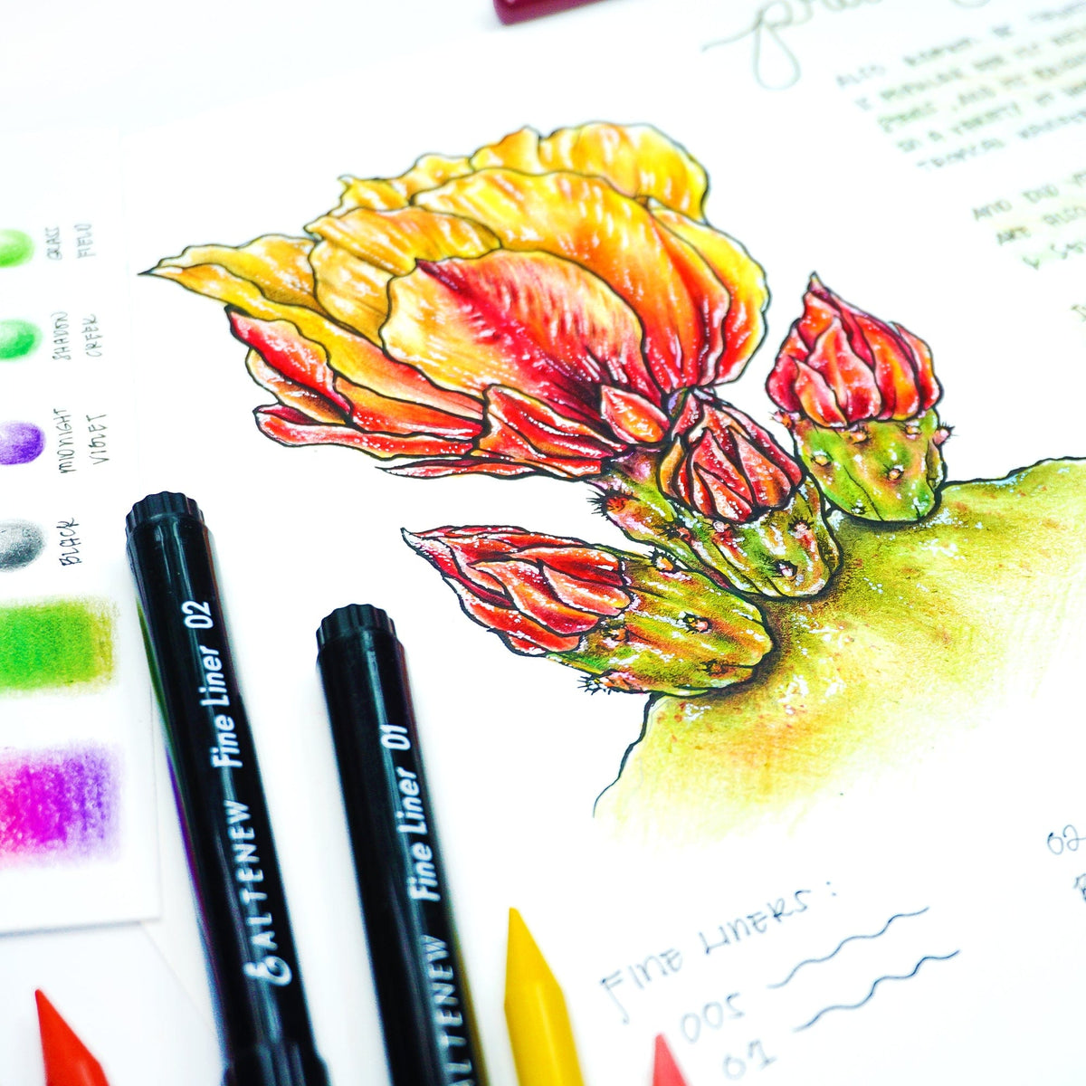 Pencils Woodless Coloring Pencils