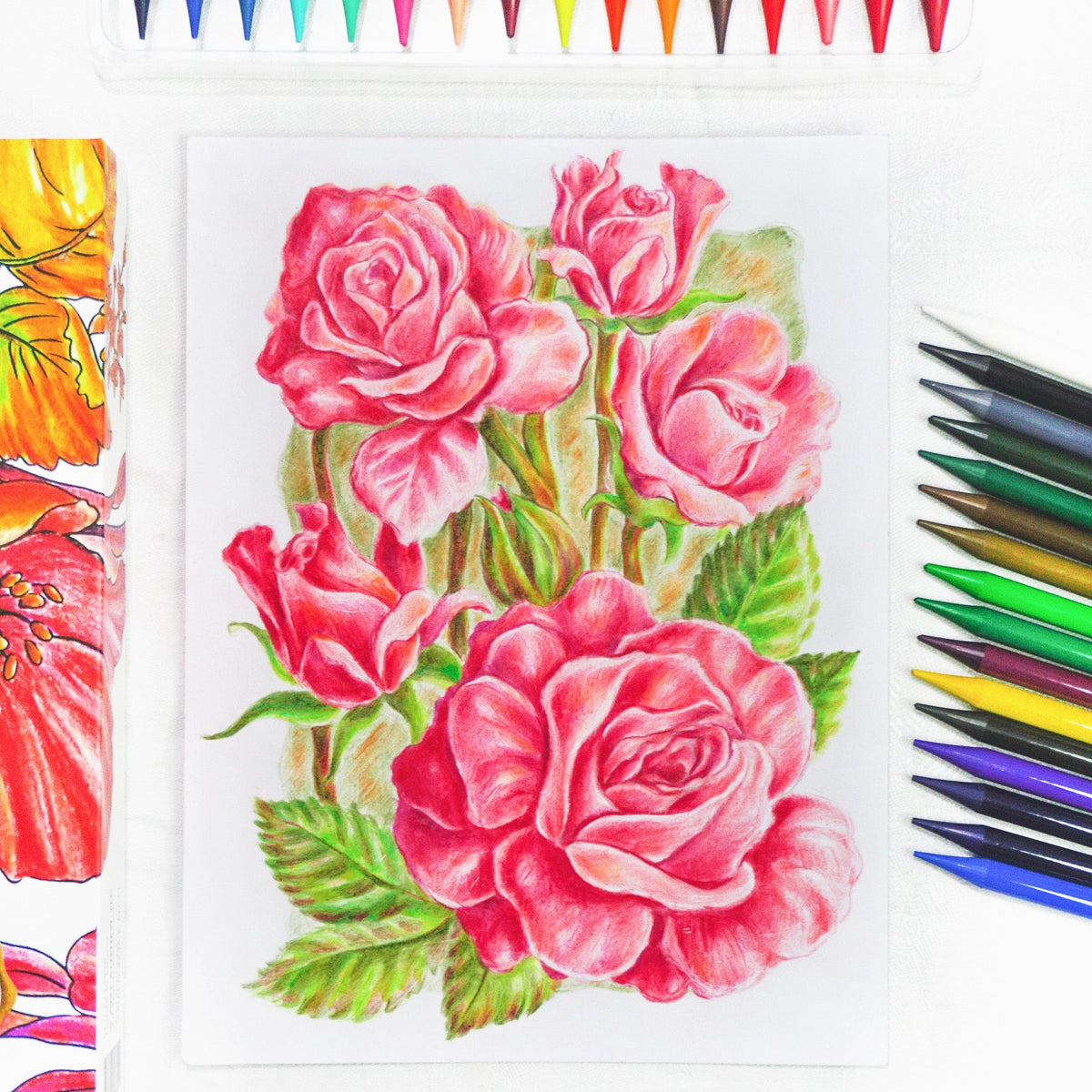 Pencils Woodless Coloring Pencils
