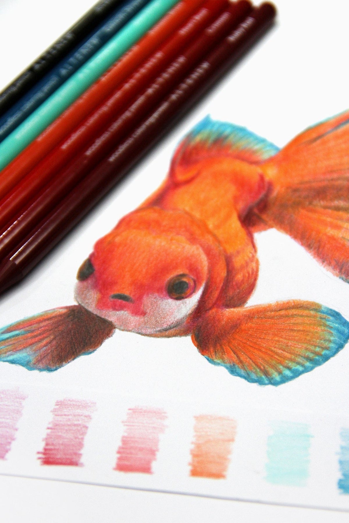 Pencils Woodless Coloring Pencils