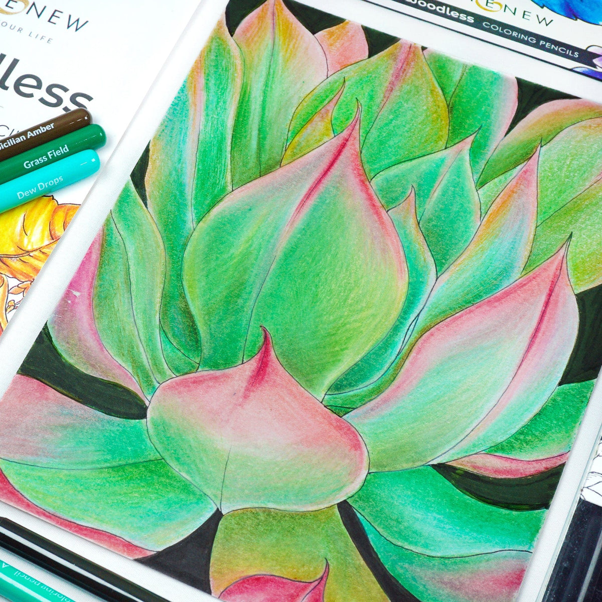 Pencils Woodless Coloring Pencils
