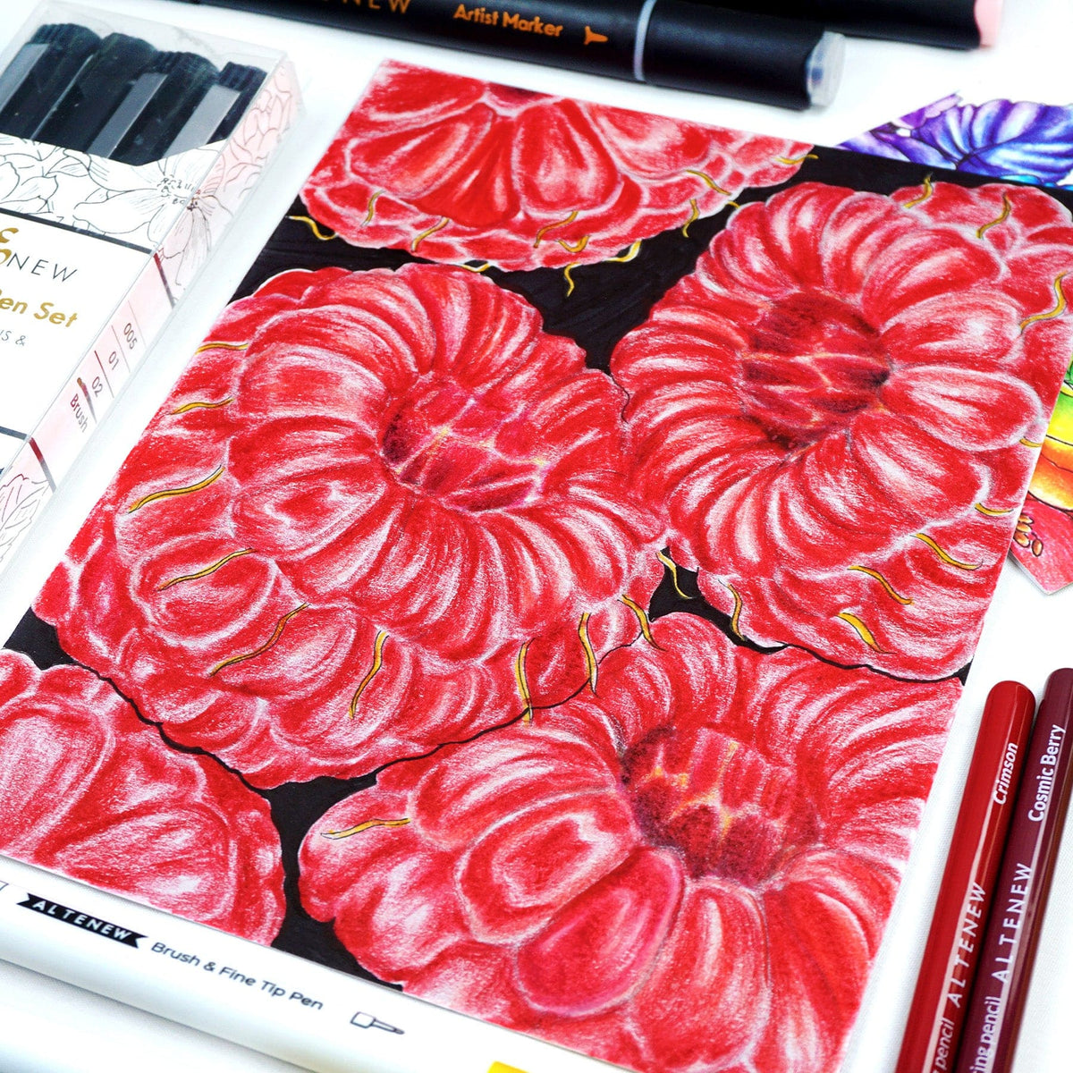 Stationery Fine Liner Pen Set