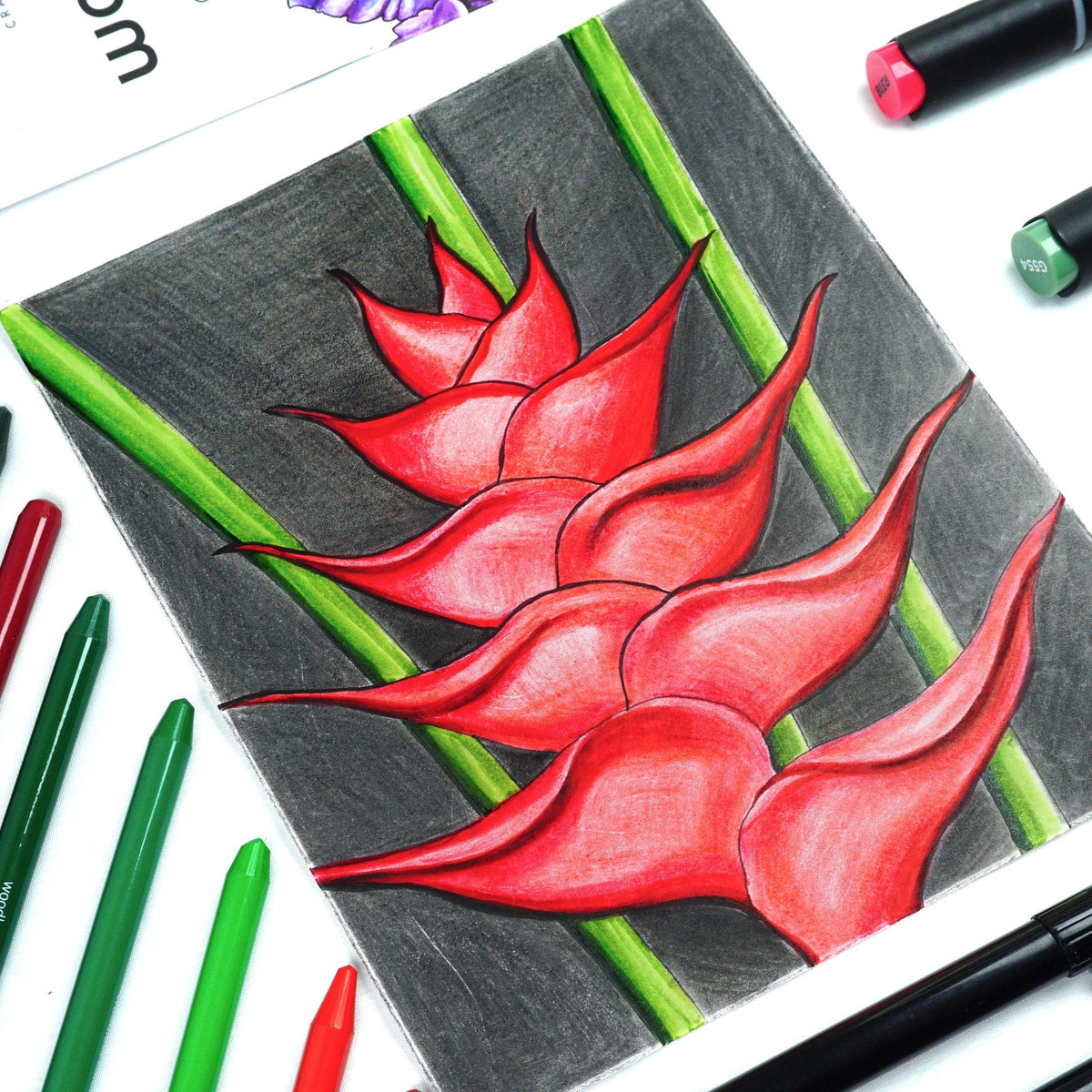 Stationery Fine Liner Pen Set
