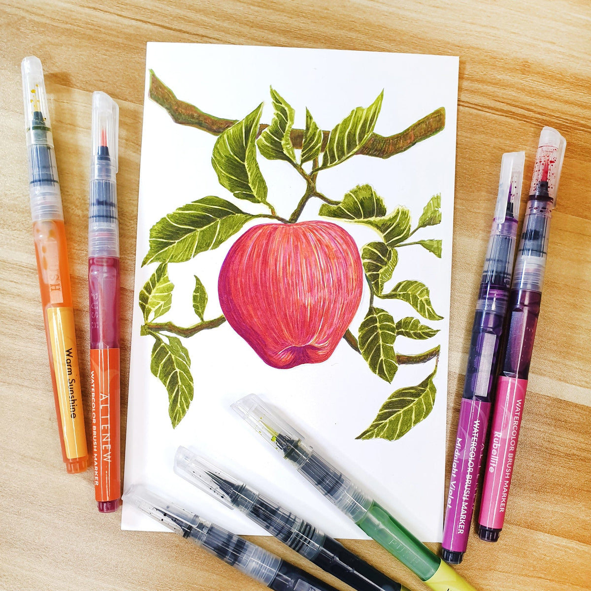 Water-based Markers Watercolor Brush Markers - Spring Garden Set