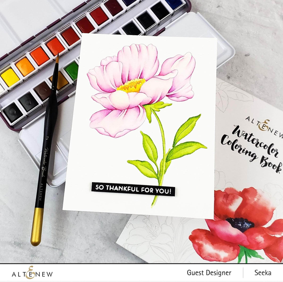 Watercolor Bundle Artists' Watercolor Brushes Bundle