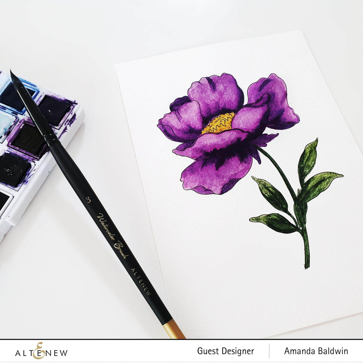 Watercolor Bundle Artists' Watercolor Brushes Bundle