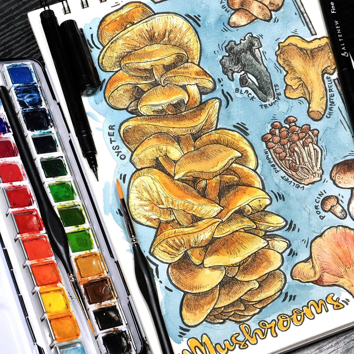 Watercolor Fine Watercolor Brushes