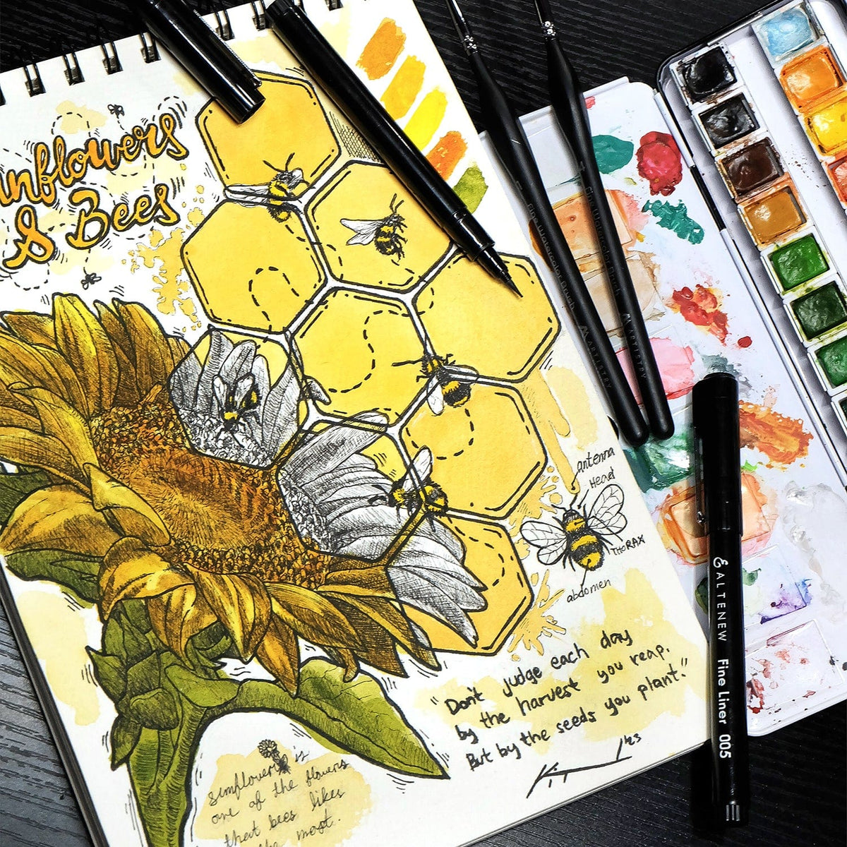 Watercolor Fine Watercolor Brushes