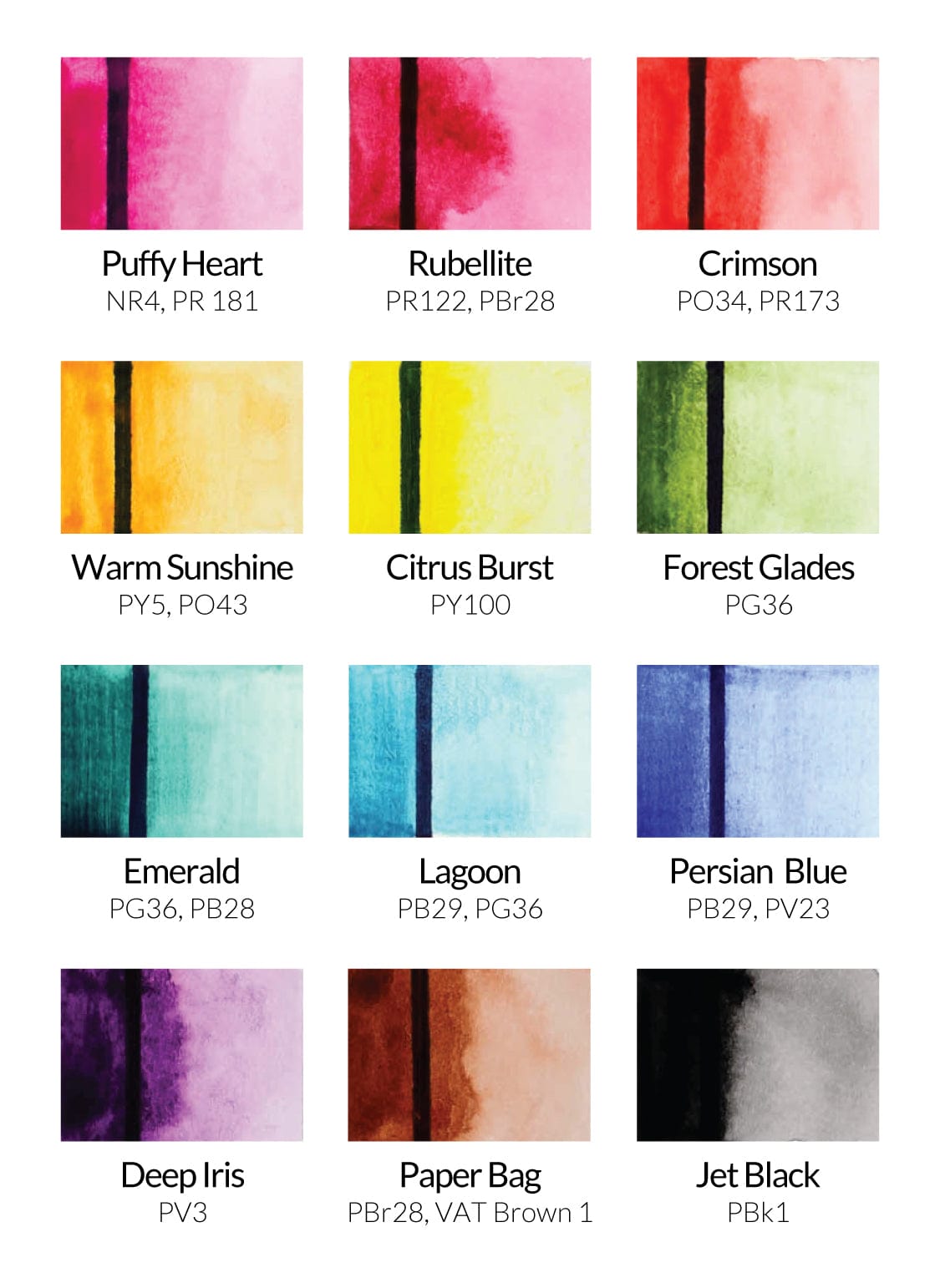 Watercolor Pans Watercolor Essential 12 Pan Set